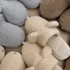Капці домашні чоловічі Teddy milk